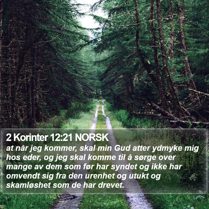 2 Korinter 12:21 NORSK Bible Study