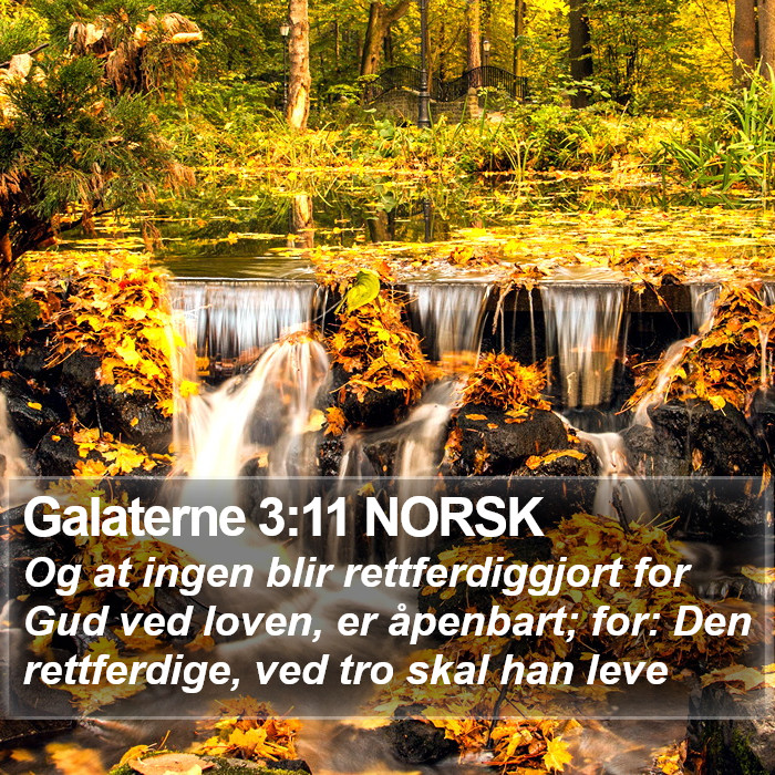 Galaterne 3:11 NORSK Bible Study