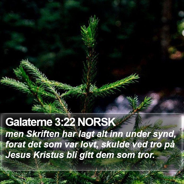 Galaterne 3:22 NORSK Bible Study