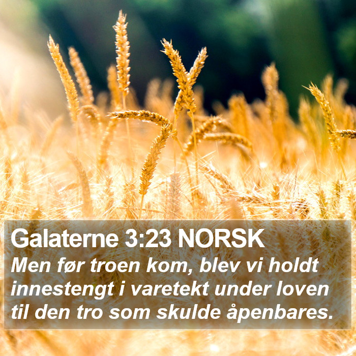 Galaterne 3:23 NORSK Bible Study