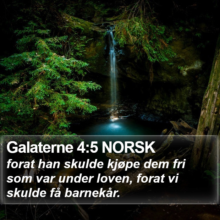 Galaterne 4:5 NORSK Bible Study