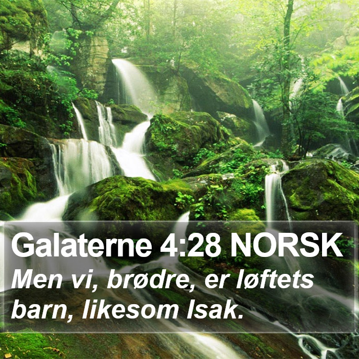 Galaterne 4:28 NORSK Bible Study