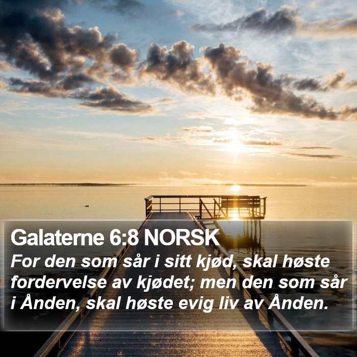 Galaterne 6:8 NORSK Bible Study