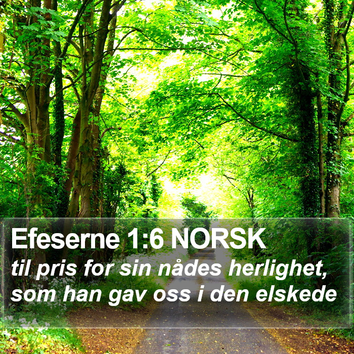 Efeserne 1:6 NORSK Bible Study