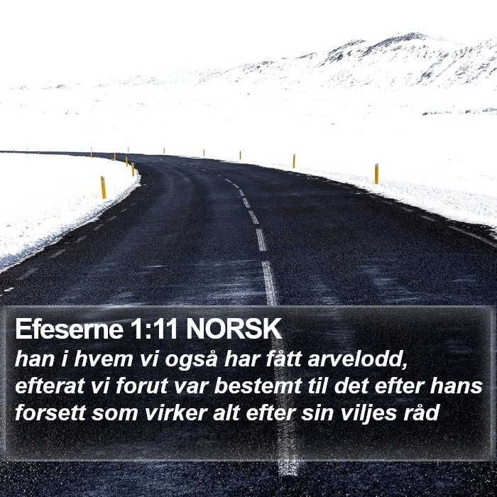 Efeserne 1:11 NORSK Bible Study