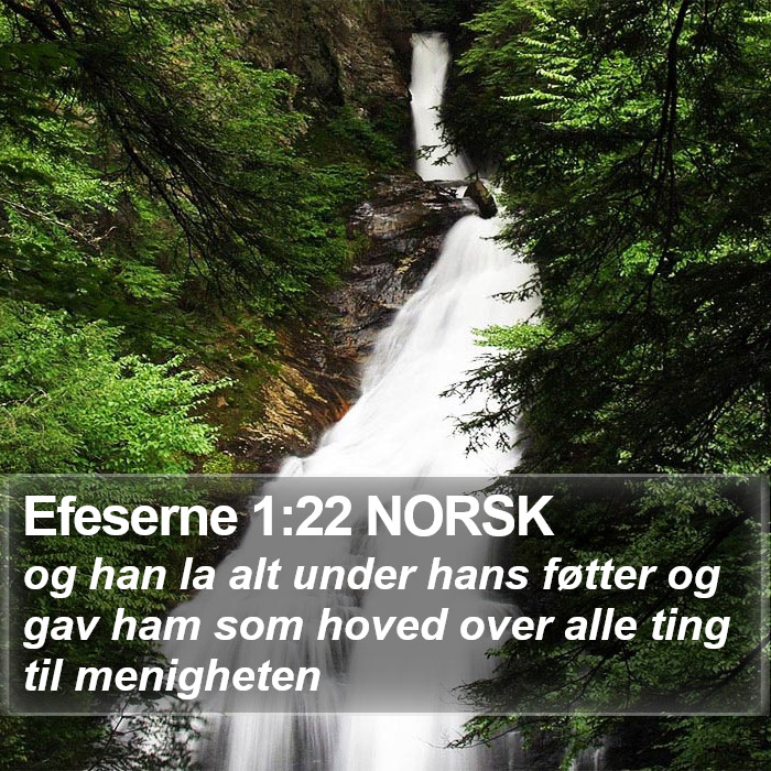 Efeserne 1:22 NORSK Bible Study