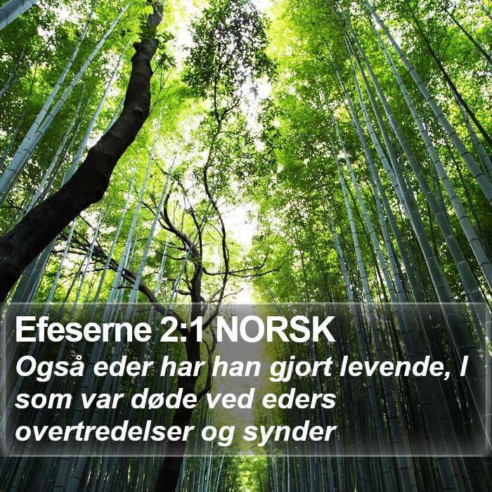 Efeserne 2:1 NORSK Bible Study