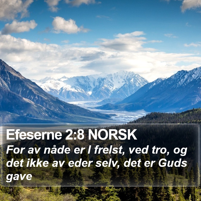 Efeserne 2:8 NORSK Bible Study