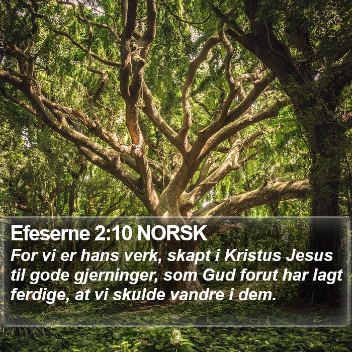 Efeserne 2:10 NORSK Bible Study