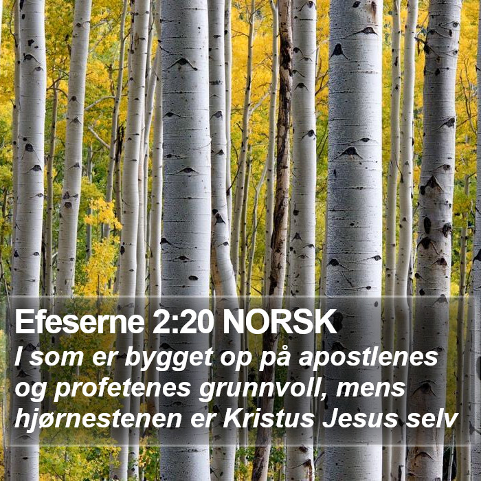 Efeserne 2:20 NORSK Bible Study