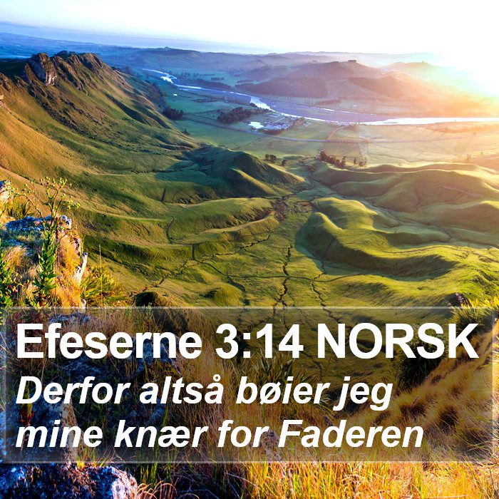 Efeserne 3:14 NORSK Bible Study