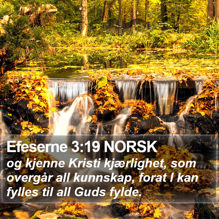 Efeserne 3:19 NORSK Bible Study