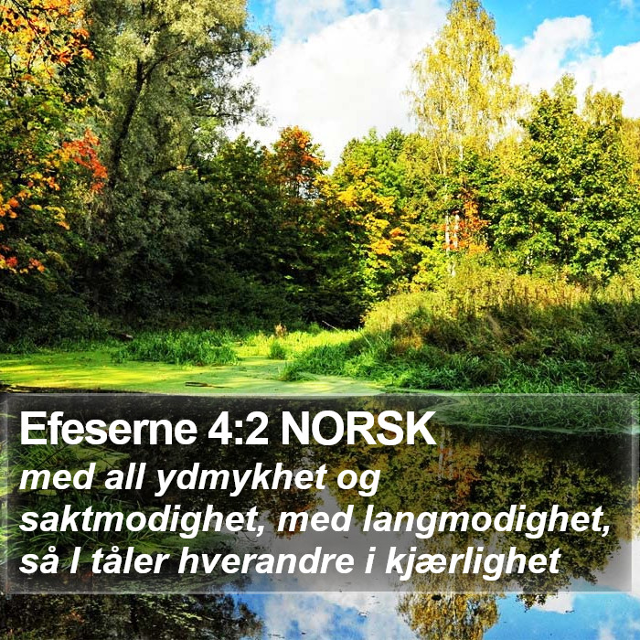 Efeserne 4:2 NORSK Bible Study