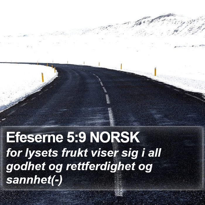 Efeserne 5:9 NORSK Bible Study