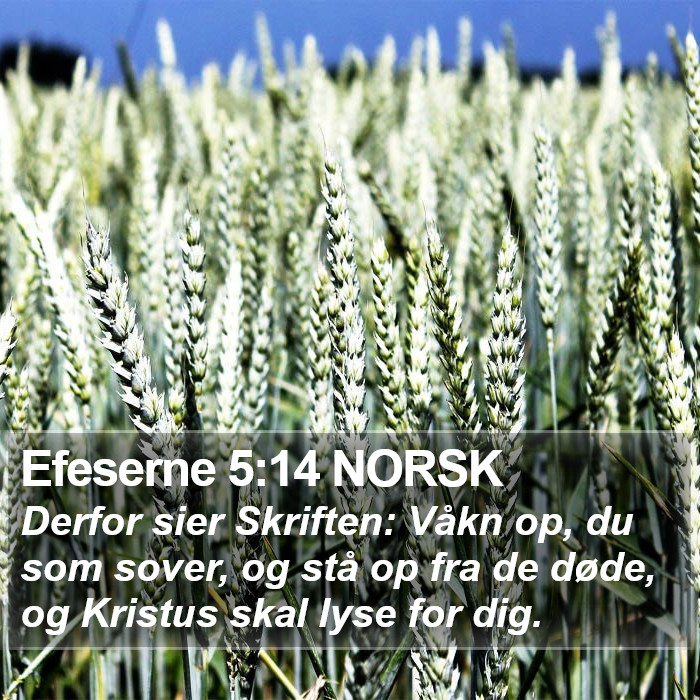 Efeserne 5:14 NORSK Bible Study