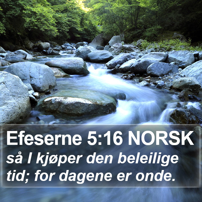Efeserne 5:16 NORSK Bible Study