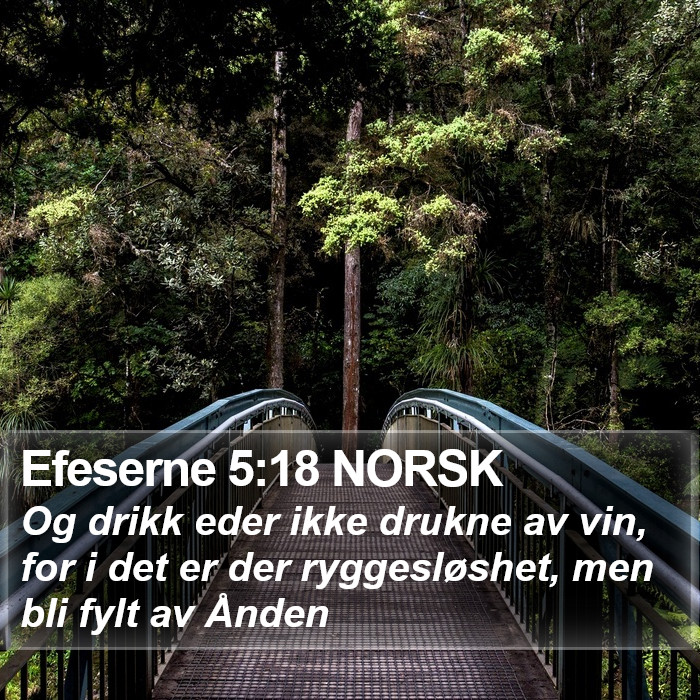 Efeserne 5:18 NORSK Bible Study