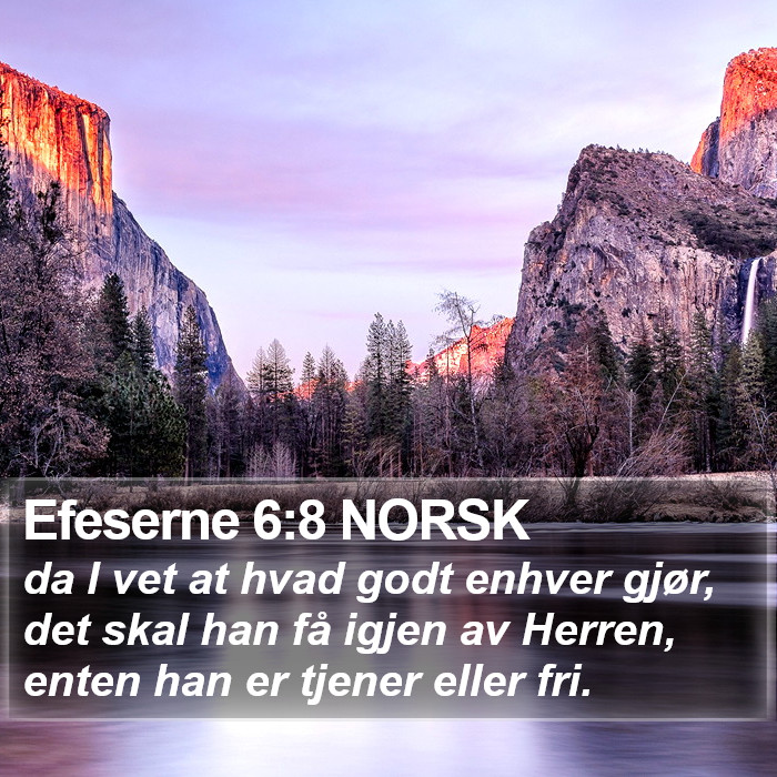 Efeserne 6:8 NORSK Bible Study