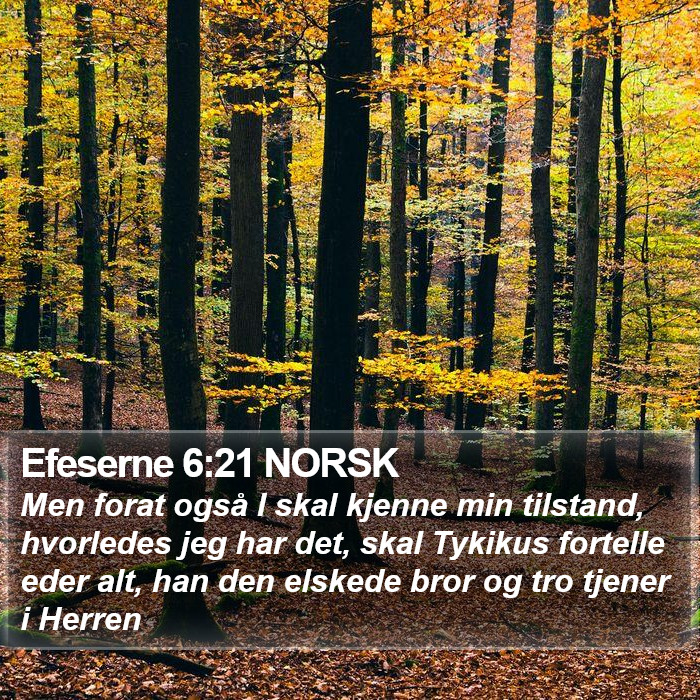 Efeserne 6:21 NORSK Bible Study
