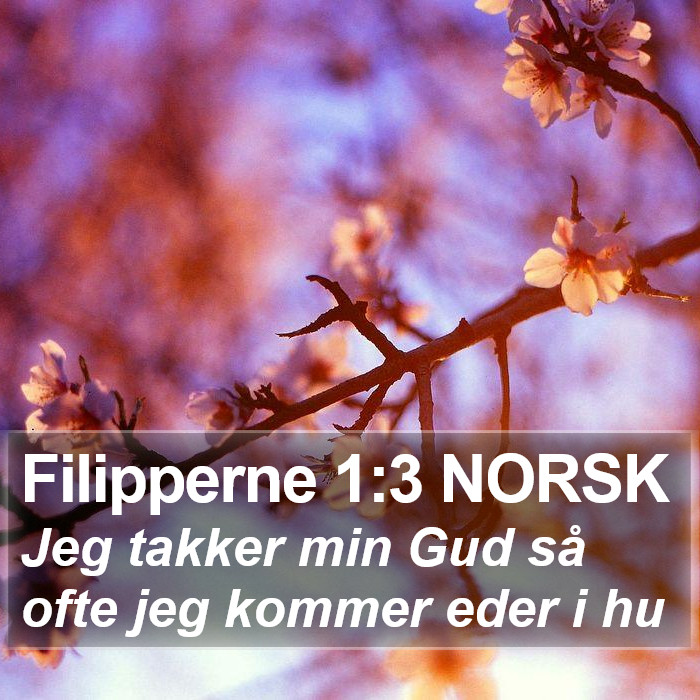 Filipperne 1:3 NORSK Bible Study