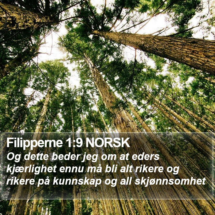 Filipperne 1:9 NORSK Bible Study