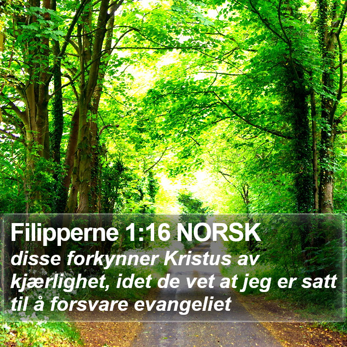 Filipperne 1:16 NORSK Bible Study