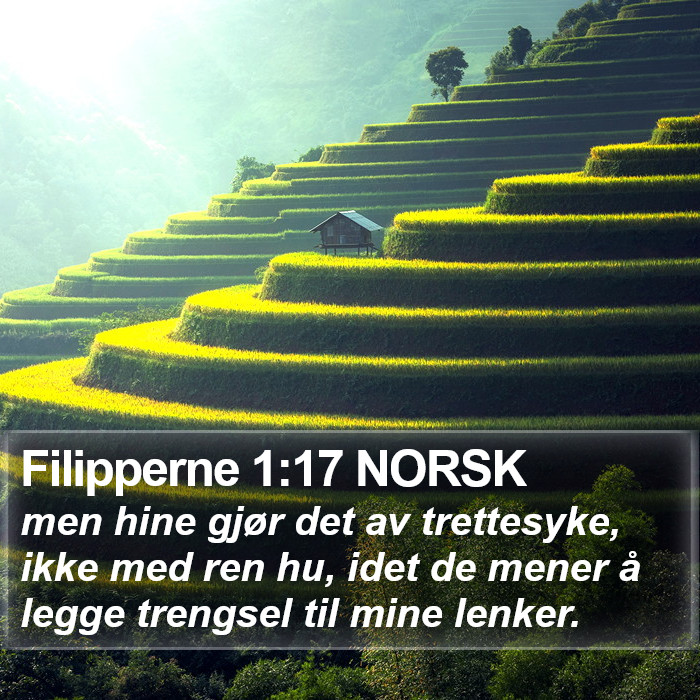 Filipperne 1:17 NORSK Bible Study