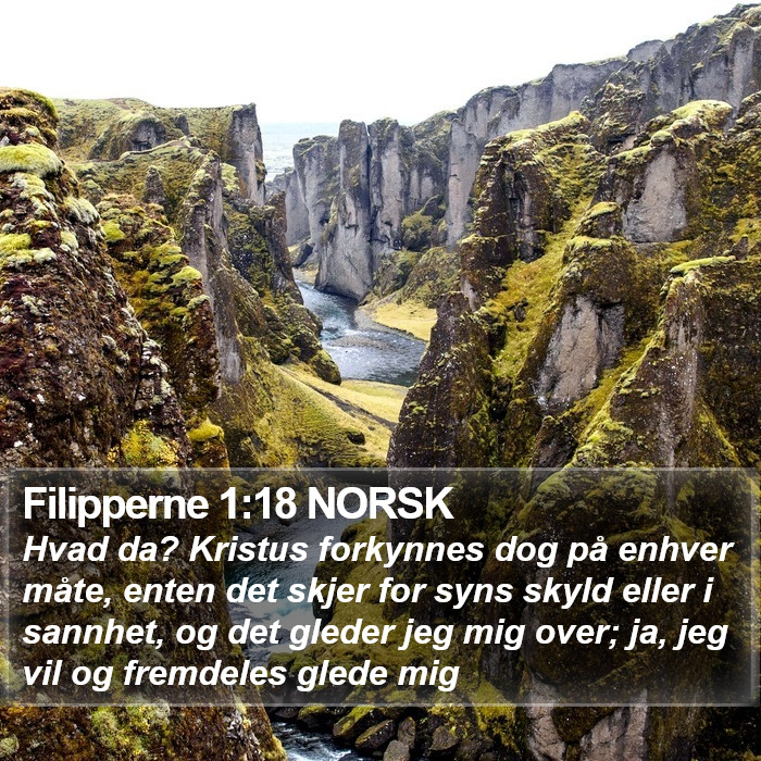 Filipperne 1:18 NORSK Bible Study