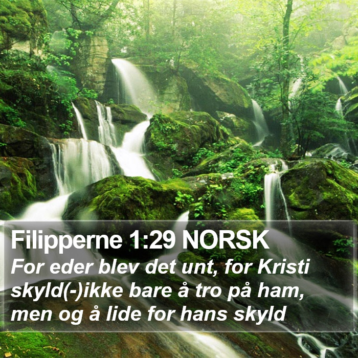 Filipperne 1:29 NORSK Bible Study