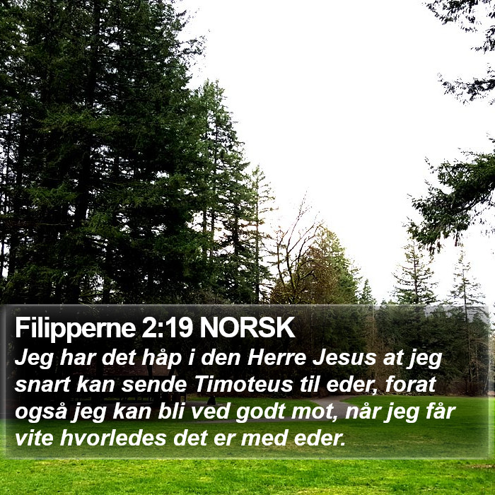 Filipperne 2:19 NORSK Bible Study