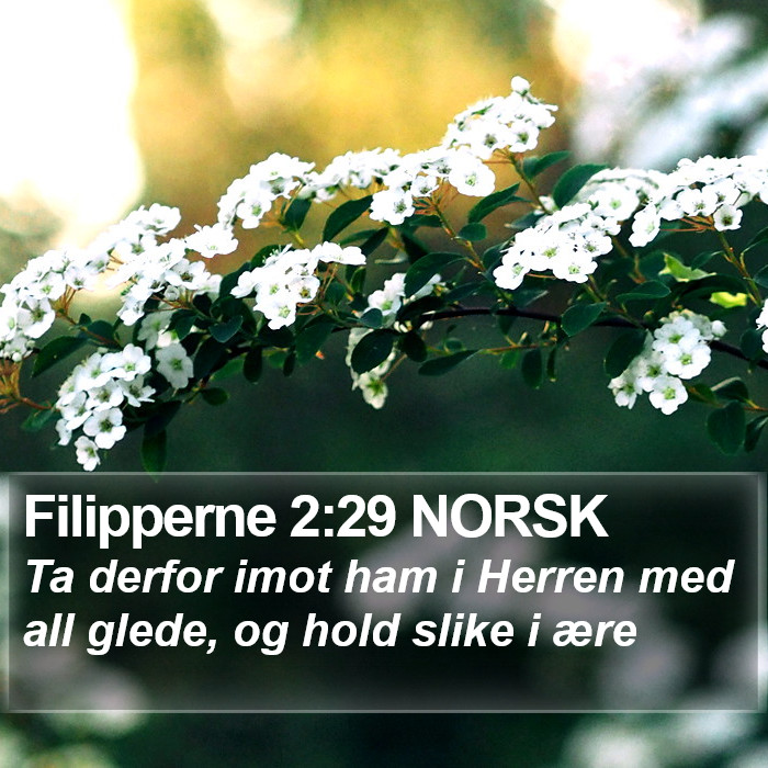 Filipperne 2:29 NORSK Bible Study