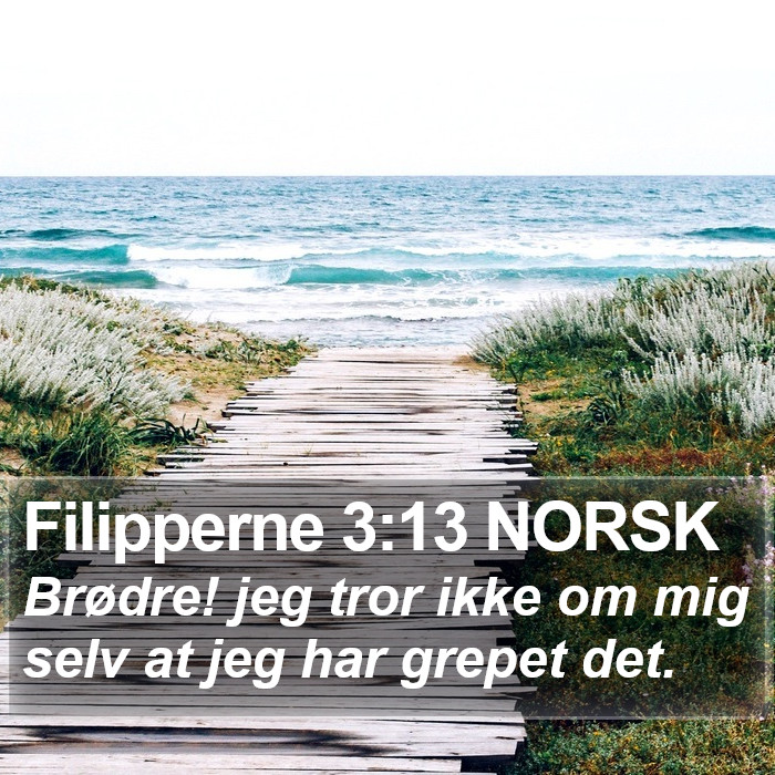 Filipperne 3:13 NORSK Bible Study