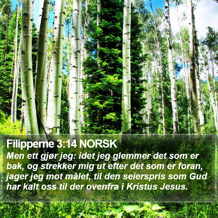 Filipperne 3:14 NORSK Bible Study