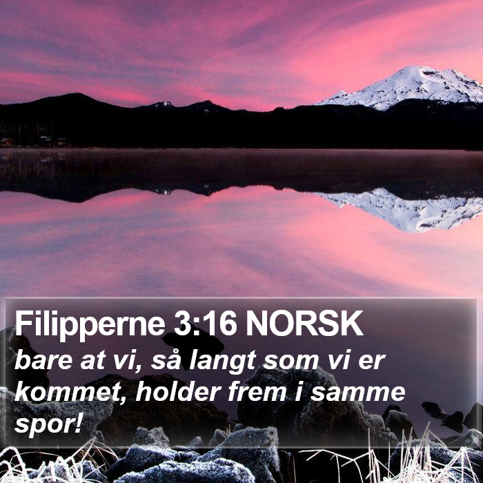 Filipperne 3:16 NORSK Bible Study
