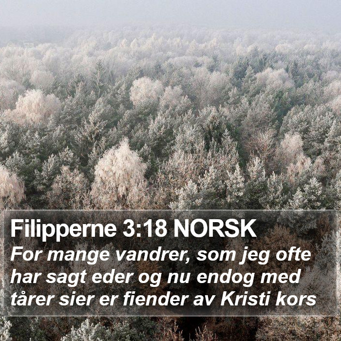 Filipperne 3:18 NORSK Bible Study