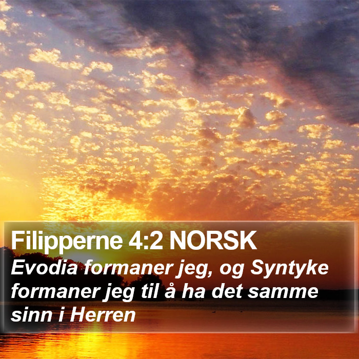 Filipperne 4:2 NORSK Bible Study