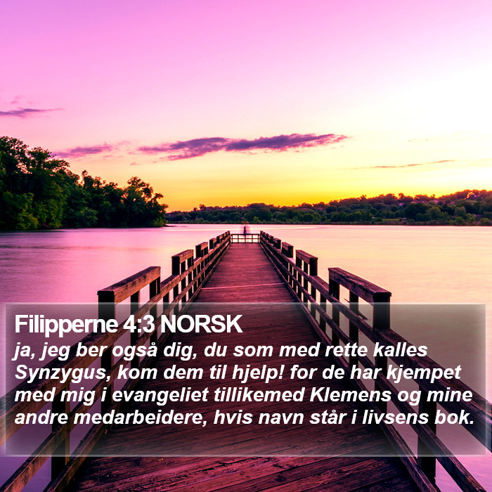 Filipperne 4:3 NORSK Bible Study