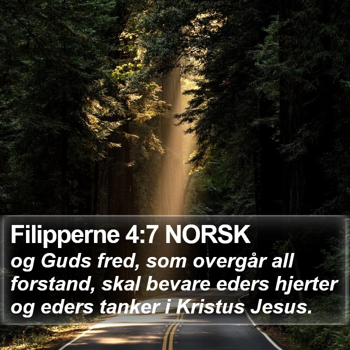 Filipperne 4:7 NORSK Bible Study