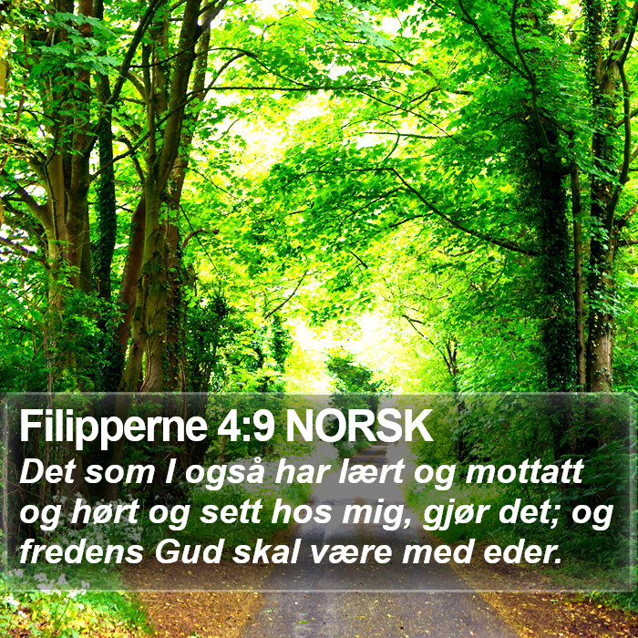 Filipperne 4:9 NORSK Bible Study