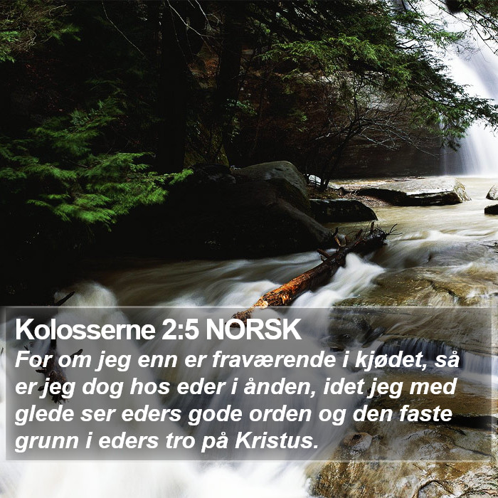 Kolosserne 2:5 NORSK Bible Study