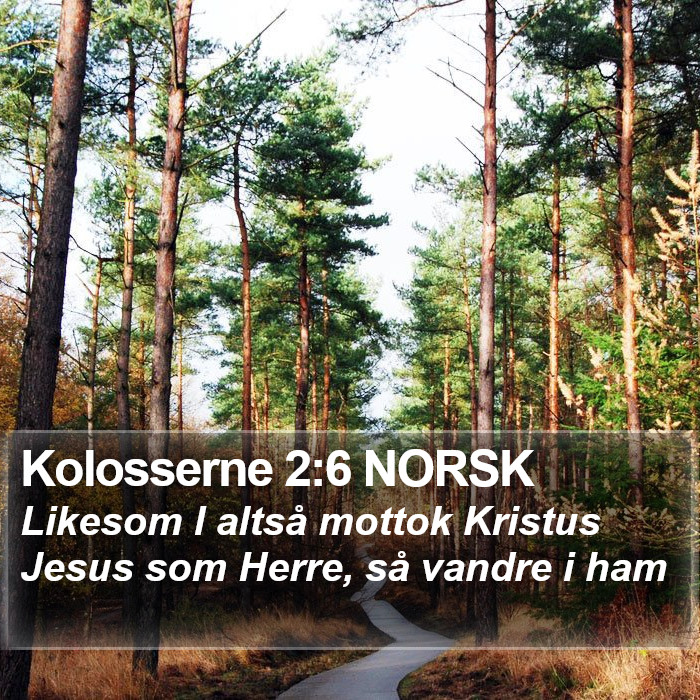 Kolosserne 2:6 NORSK Bible Study