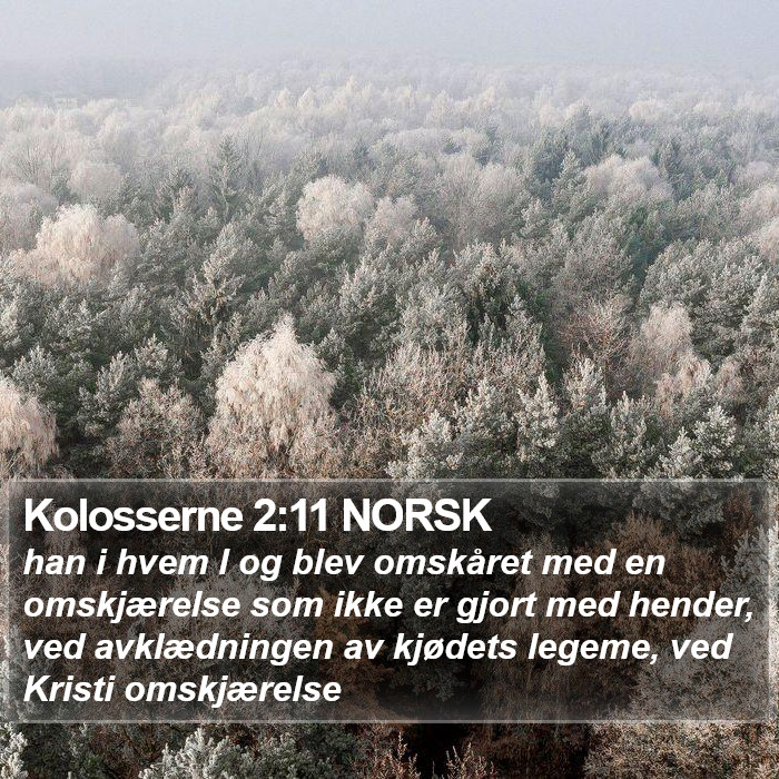 Kolosserne 2:11 NORSK Bible Study