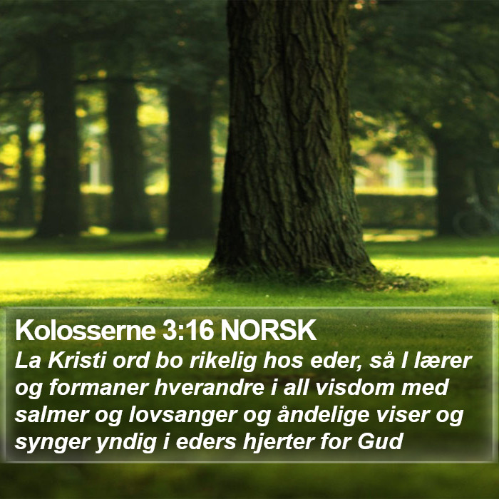 Kolosserne 3:16 NORSK Bible Study