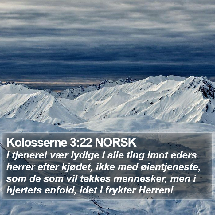 Kolosserne 3:22 NORSK Bible Study