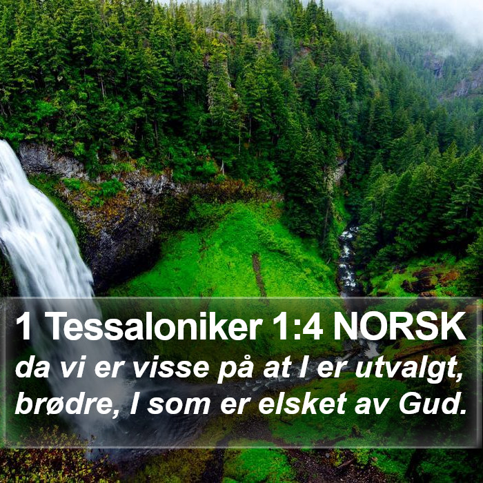 1 Tessaloniker 1:4 NORSK Bible Study