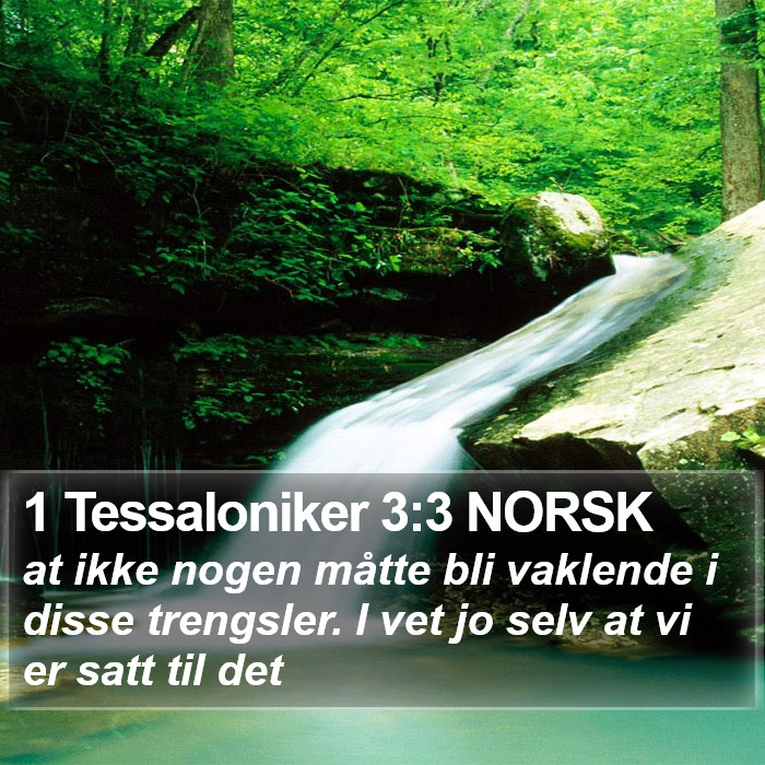 1 Tessaloniker 3:3 NORSK Bible Study