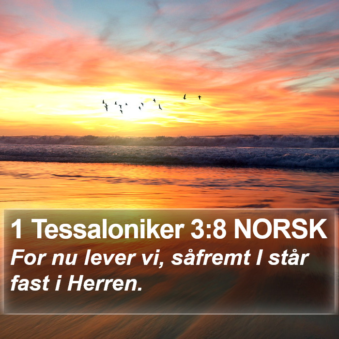 1 Tessaloniker 3:8 NORSK Bible Study