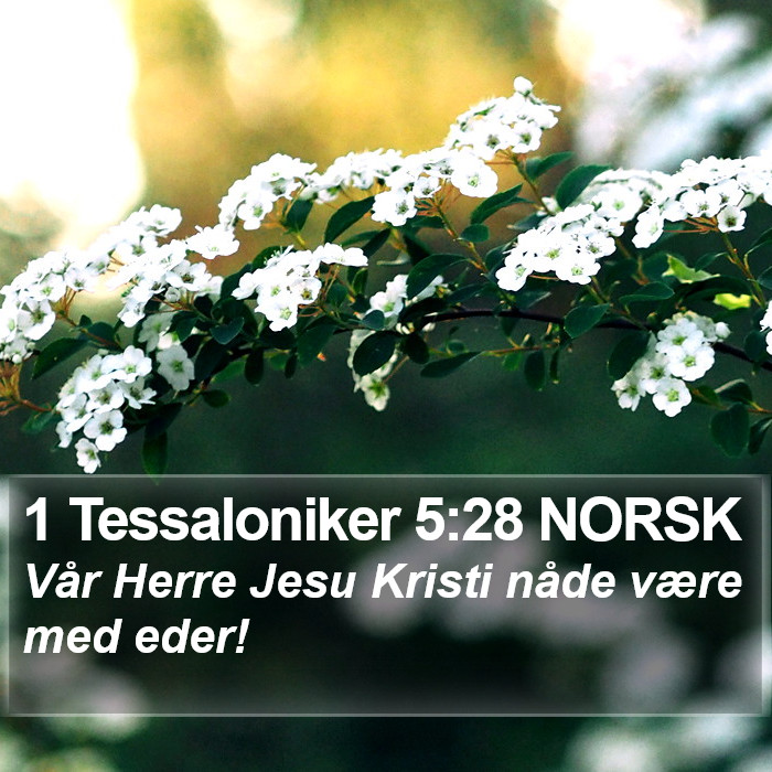 1 Tessaloniker 5:28 NORSK Bible Study