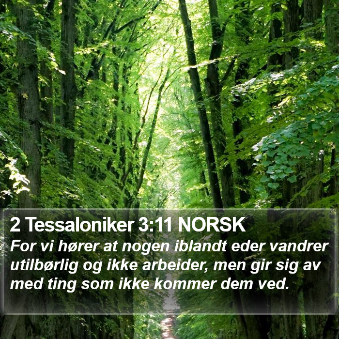 2 Tessaloniker 3:11 NORSK Bible Study