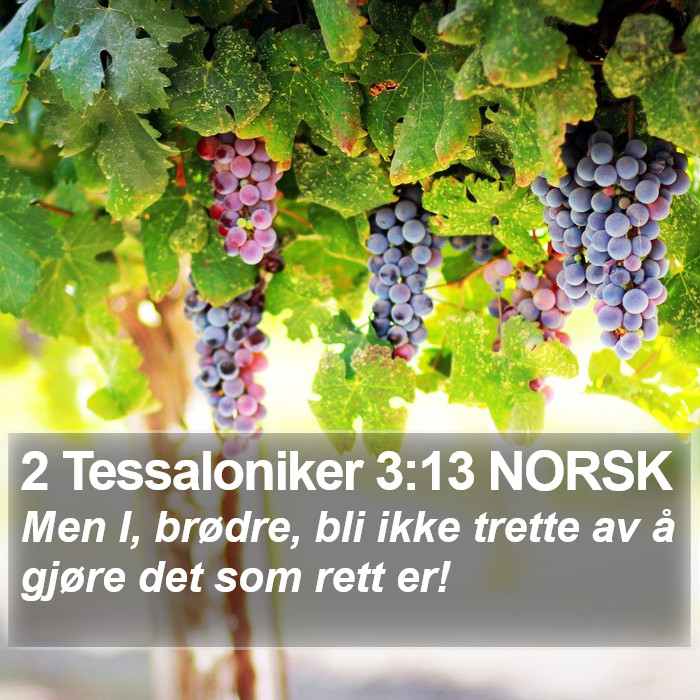 2 Tessaloniker 3:13 NORSK Bible Study